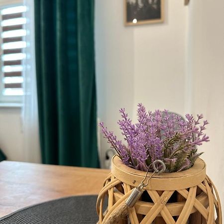 Apartament Zielony Kollataja Tomaszów Mazowiecki 외부 사진