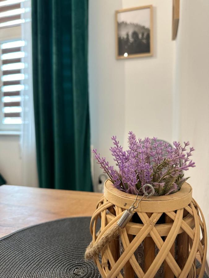 Apartament Zielony Kollataja Tomaszów Mazowiecki 외부 사진
